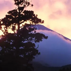 https://hananoyado-fukuya.hotelshakone.com